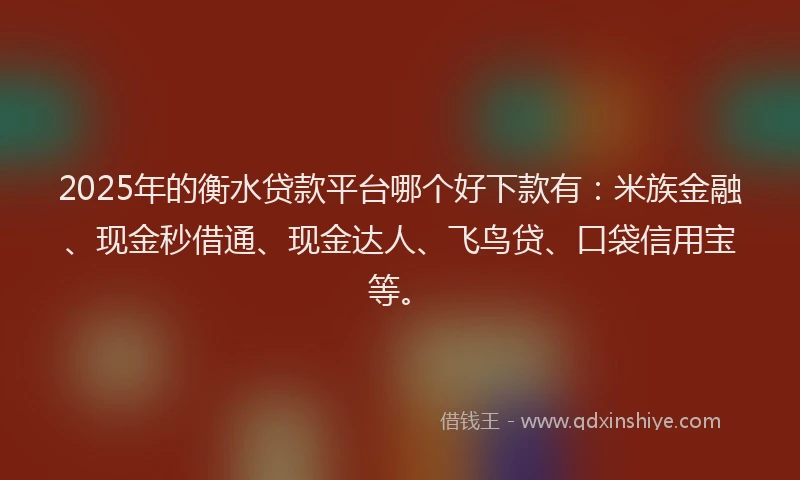 2025年的衡水贷款平台哪个好下款有：米族金融、现金秒借通、现金达人、飞鸟贷、口袋信用宝等。