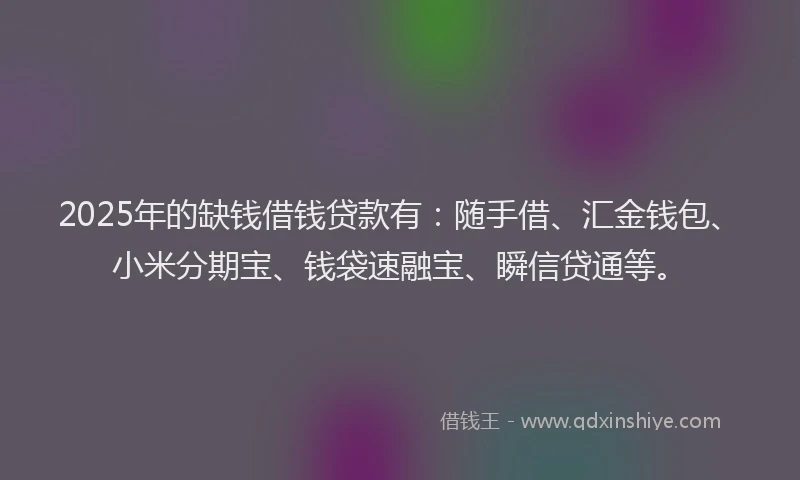 2025年的缺钱借钱贷款有：随手借、汇金钱包、小米分期宝、钱袋速融宝、瞬信贷通等。