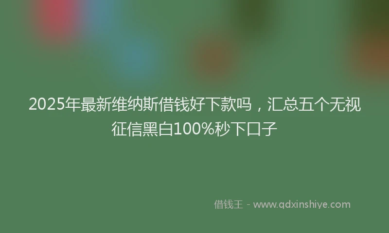 2025年最新维纳斯借钱好下款吗，汇总五个无视征信黑白100%秒下口子