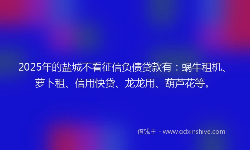 2025年的盐城不看征信负债贷款有：蜗牛租机、萝卜租、信用快贷、龙龙用、葫芦花等。