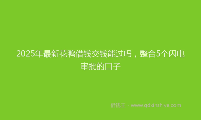 2025年最新花鸭借钱交钱能过吗，整合5个闪电审批的口子