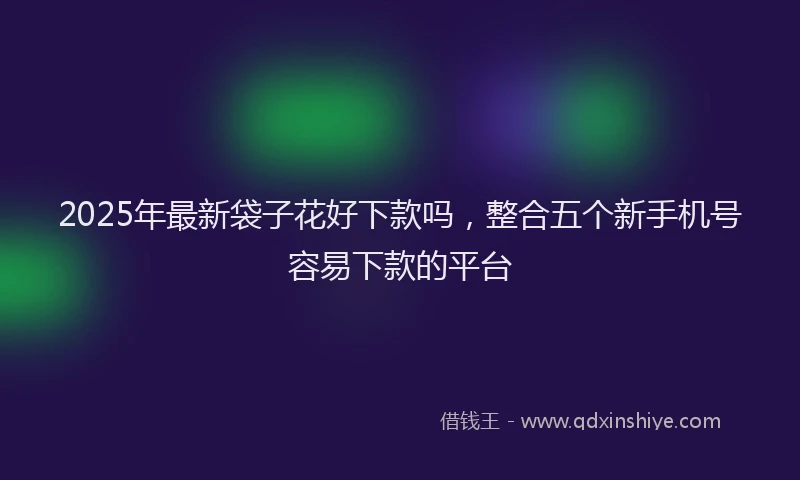 2025年最新袋子花好下款吗，整合五个新手机号容易下款的平台