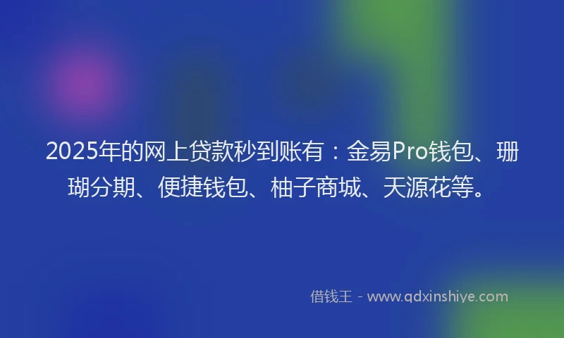 2025年的网上贷款秒到账有：金易Pro钱包、珊瑚分期、便捷钱包、柚子商城、天源花等。