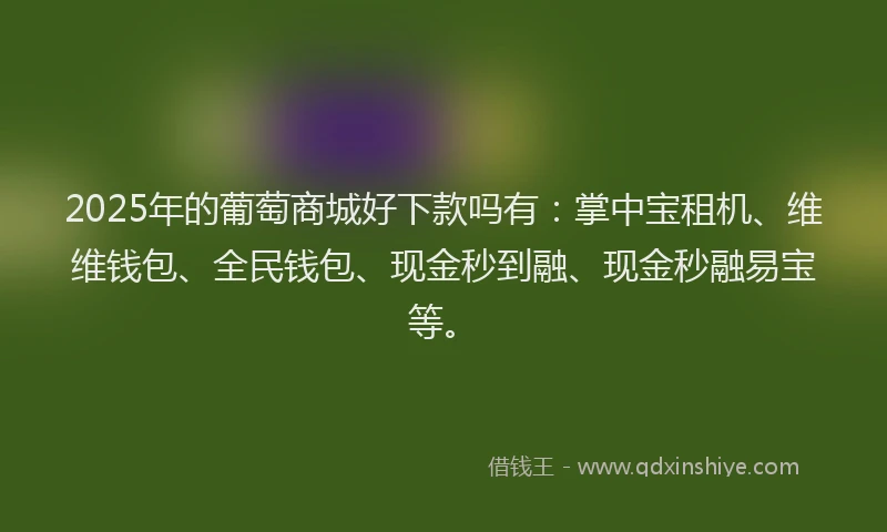 2025年的葡萄商城好下款吗有：掌中宝租机、维维钱包、全民钱包、现金秒到融、现金秒融易宝等。