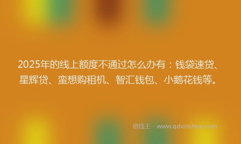 2025年的线上额度不通过怎么办有：钱袋速贷、星辉贷、蛮想购租机、智汇钱包、小鹅花钱等。