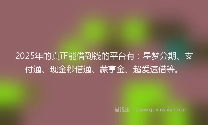 2025年的真正能借到钱的平台有：星梦分期、支付通、现金秒借通、蒙享金、超爱速借等。