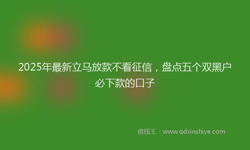 2025年最新立马放款不看征信，盘点五个双黑户必下款的口子