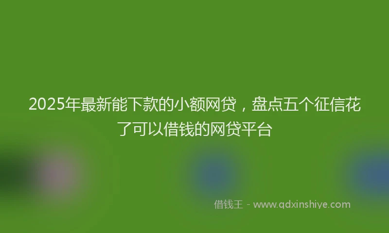 2025年最新能下款的小额网贷，盘点五个征信花了可以借钱的网贷平台