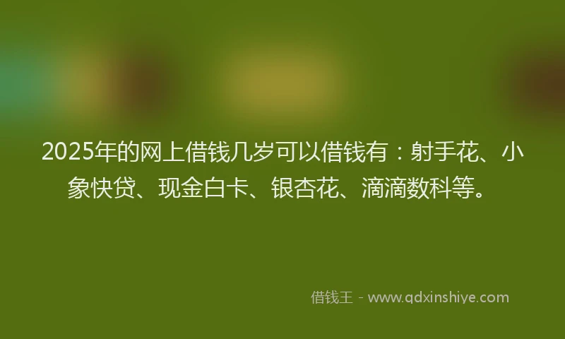 2025年的网上借钱几岁可以借钱有：射手花、小象快贷、现金白卡、银杏花、滴滴数科等。