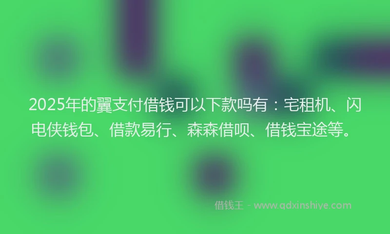 2025年的翼支付借钱可以下款吗有：宅租机、闪电侠钱包、借款易行、森森借呗、借钱宝途等。