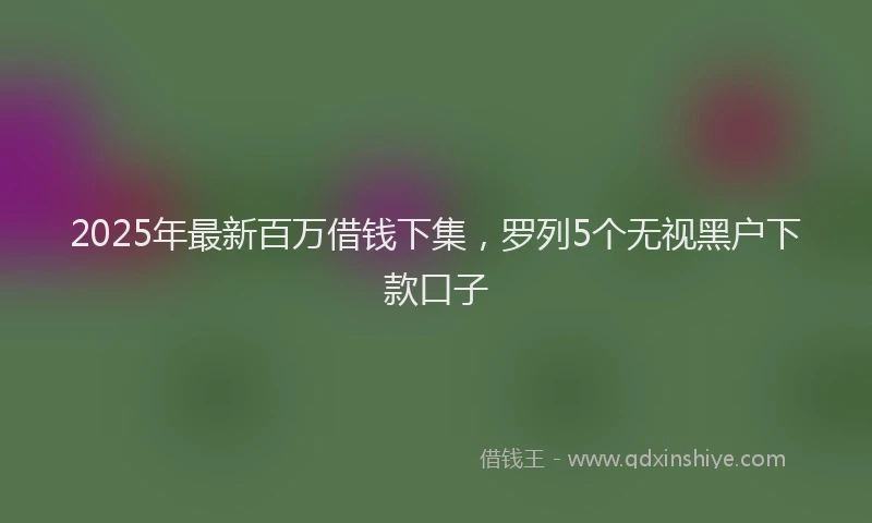 2025年最新百万借钱下集，罗列5个无视黑户下款口子