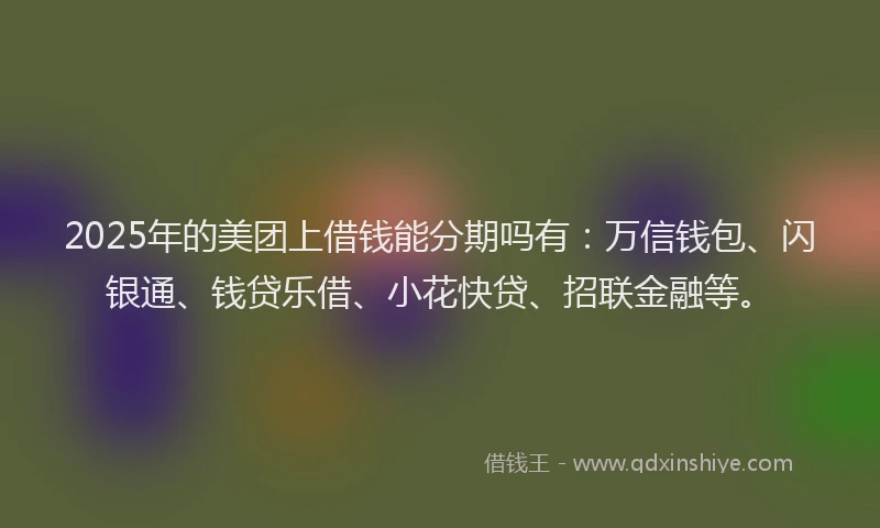 2025年的美团上借钱能分期吗有：万信钱包、闪银通、钱贷乐借、小花快贷、招联金融等。