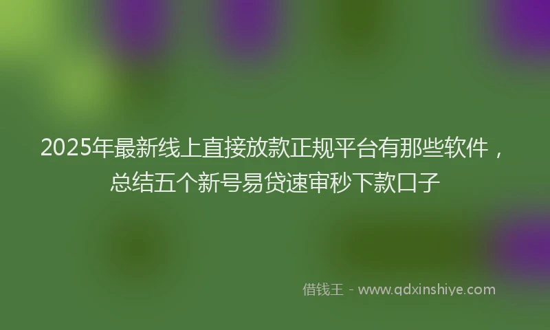 2025年最新线上直接放款正规平台有那些软件，总结五个新号易贷速审秒下款口子