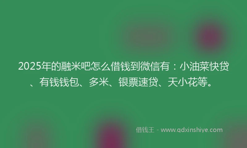2025年的融米吧怎么借钱到微信有：小油菜快贷、有钱钱包、多米、银票速贷、天小花等。