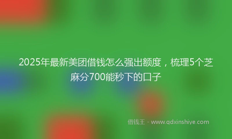 2025年最新美团借钱怎么强出额度，梳理5个芝麻分700能秒下的口子
