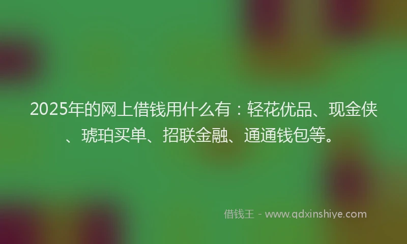 2025年的网上借钱用什么有：轻花优品、现金侠、琥珀买单、招联金融、通通钱包等。