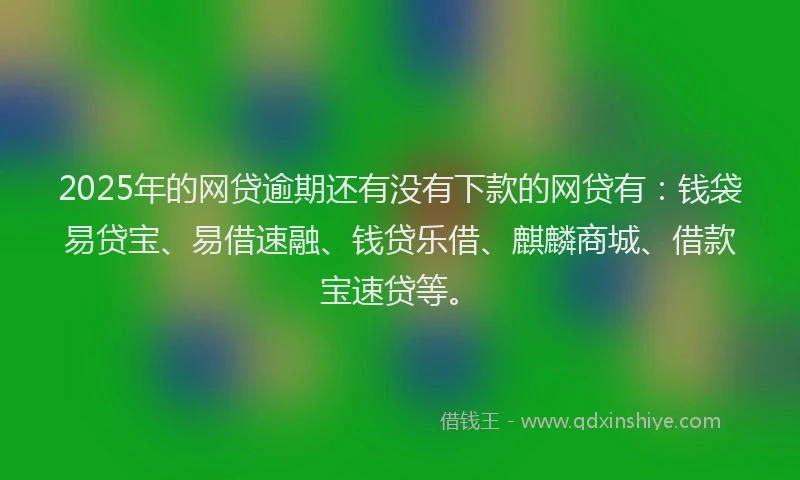 2025年的网贷逾期还有没有下款的网贷有：钱袋易贷宝、易借速融、钱贷乐借、麒麟商城、借款宝速贷等。