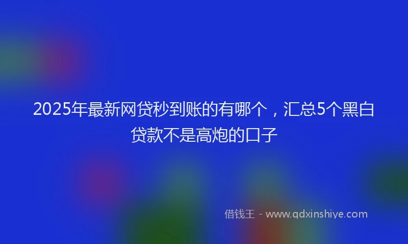 2025年最新网贷秒到账的有哪个，汇总5个黑白贷款不是高炮的口子