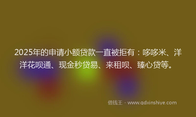 2025年的申请小额贷款一直被拒有：哆哆米、洋洋花呗通、现金秒贷易、来租呗、臻心贷等。