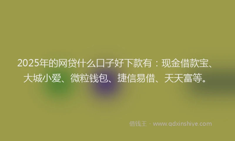 2025年的网贷什么口子好下款有：现金借款宝、大城小爱、微粒钱包、捷信易借、天天富等。