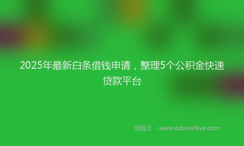 2025年最新白条借钱申请，整理5个公积金快速贷款平台