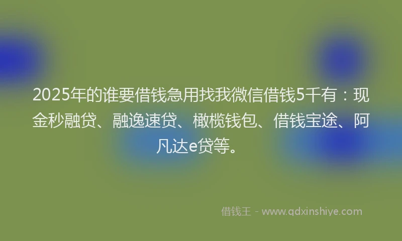 2025年的谁要借钱急用找我微信借钱5千有：现金秒融贷、融逸速贷、橄榄钱包、借钱宝途、阿凡达e贷等。
