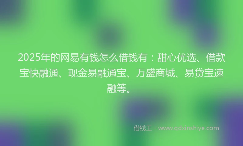 2025年的网易有钱怎么借钱有：甜心优选、借款宝快融通、现金易融通宝、万盛商城、易贷宝速融等。