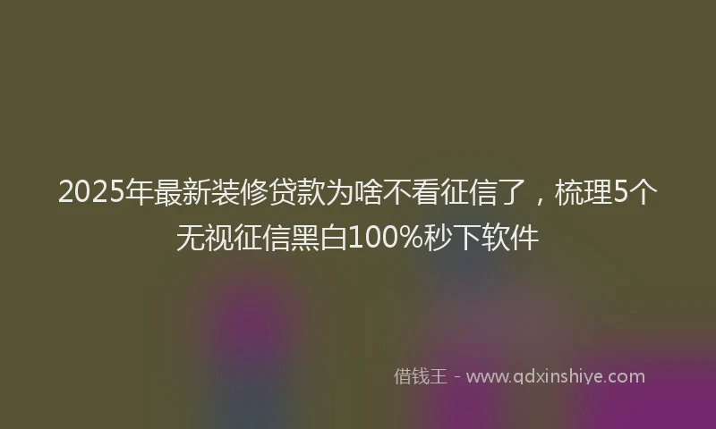 2025年最新装修贷款为啥不看征信了，梳理5个无视征信黑白100%秒下软件