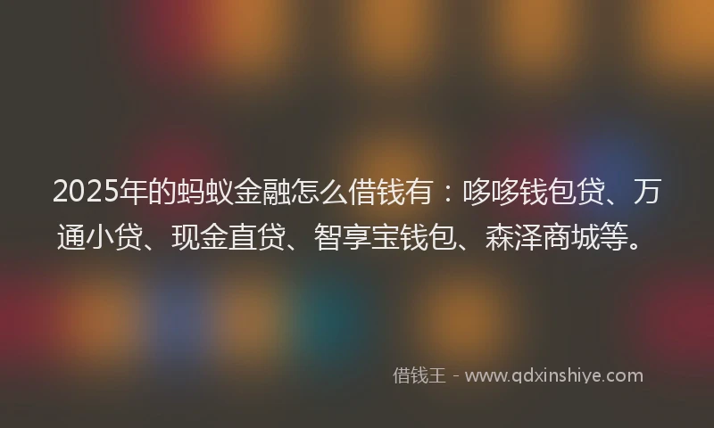 2025年的蚂蚁金融怎么借钱有：哆哆钱包贷、万通小贷、现金直贷、智享宝钱包、森泽商城等。