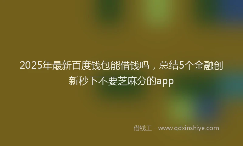 2025年最新百度钱包能借钱吗，总结5个金融创新秒下不要芝麻分的app