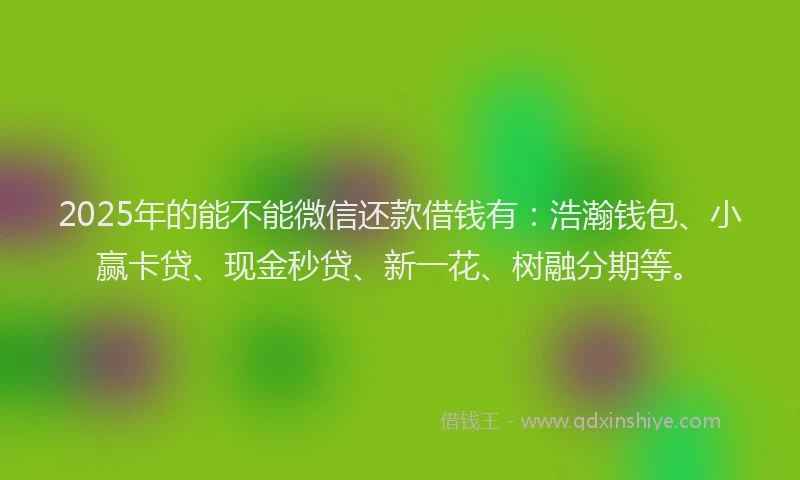 2025年的能不能微信还款借钱有：浩瀚钱包、小赢卡贷、现金秒贷、新一花、树融分期等。