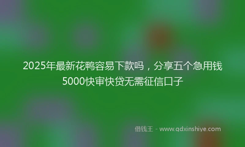 2025年最新花鸭容易下款吗，分享五个急用钱5000快审快贷无需征信口子