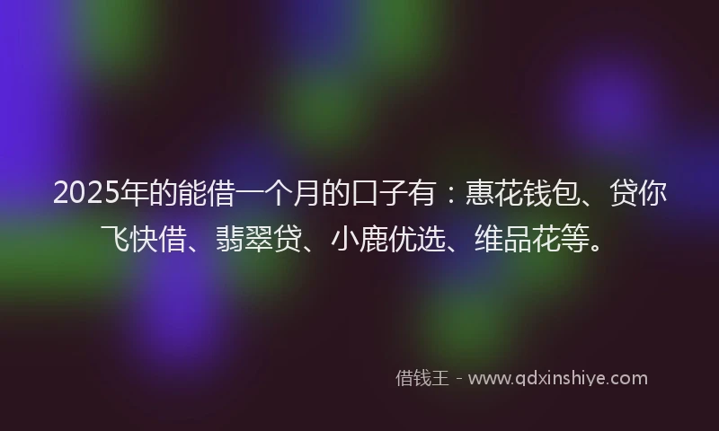 2025年的能借一个月的口子有：惠花钱包、贷你飞快借、翡翠贷、小鹿优选、维品花等。