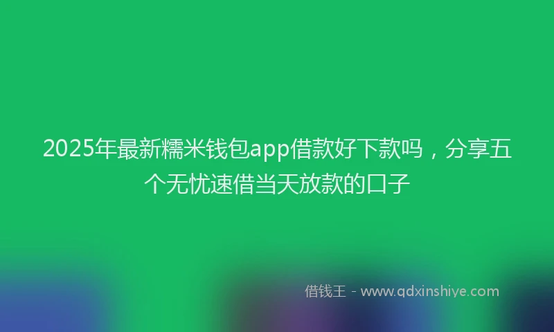 2025年最新糯米钱包app借款好下款吗，分享五个无忧速借当天放款的口子