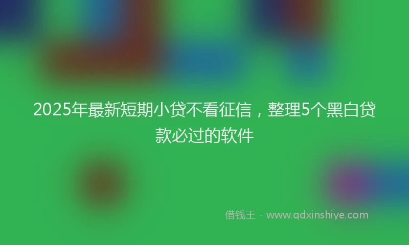 2025年最新短期小贷不看征信，整理5个黑白贷款必过的软件