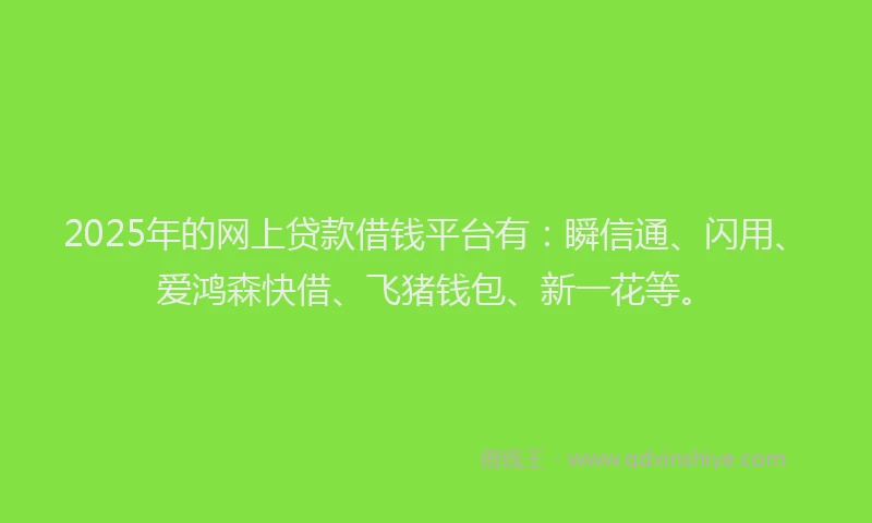 2025年的网上贷款借钱平台有：瞬信通、闪用、爱鸿森快借、飞猪钱包、新一花等。
