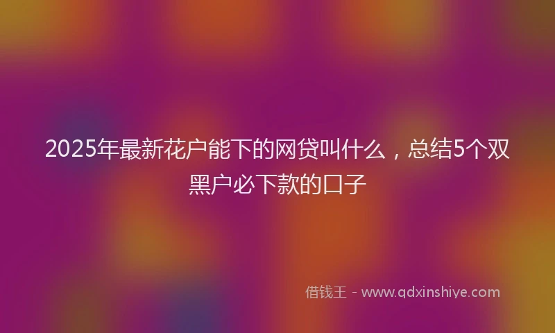 2025年最新花户能下的网贷叫什么，总结5个双黑户必下款的口子