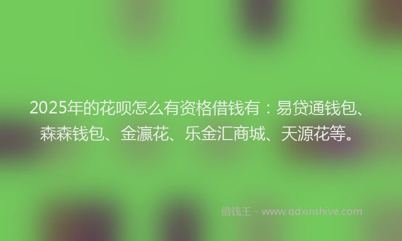 2025年的花呗怎么有资格借钱有：易贷通钱包、森森钱包、金瀛花、乐金汇商城、天源花等。