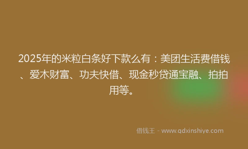 2025年的米粒白条好下款么有：美团生活费借钱、爱木财富、功夫快借、现金秒贷通宝融、拍拍用等。