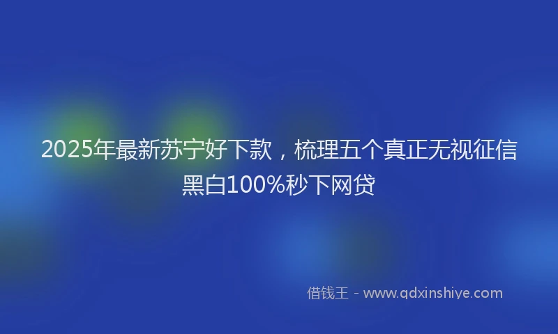 2025年最新苏宁好下款，梳理五个真正无视征信黑白100%秒下网贷