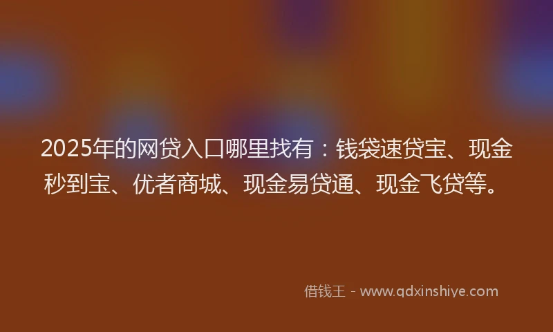 2025年的网贷入口哪里找有：钱袋速贷宝、现金秒到宝、优者商城、现金易贷通、现金飞贷等。