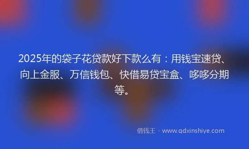 2025年的袋子花贷款好下款么有：用钱宝速贷、向上金服、万信钱包、快借易贷宝盒、哆哆分期等。