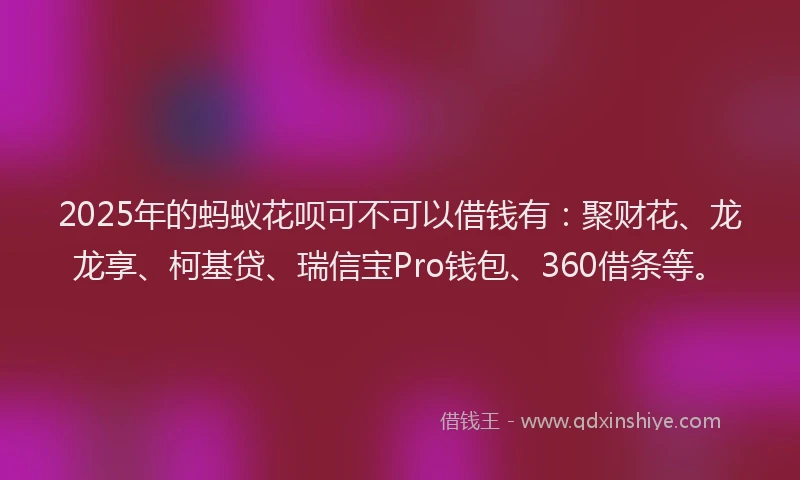 2025年的蚂蚁花呗可不可以借钱有：聚财花、龙龙享、柯基贷、瑞信宝Pro钱包、360借条等。