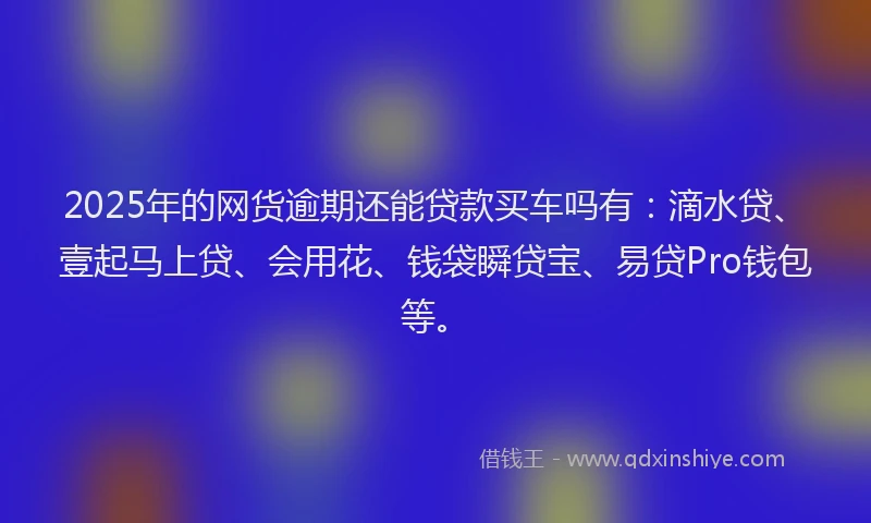 2025年的网货逾期还能贷款买车吗有：滴水贷、壹起马上贷、会用花、钱袋瞬贷宝、易贷Pro钱包等。