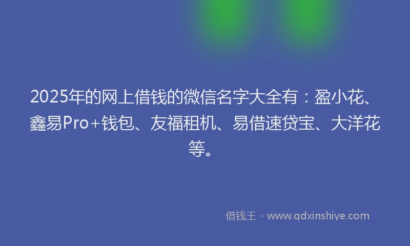 2025年的网上借钱的微信名字大全有：盈小花、鑫易Pro+钱包、友福租机、易借速贷宝、大洋花等。