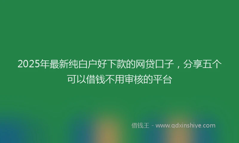2025年最新纯白户好下款的网贷口子，分享五个可以借钱不用审核的平台