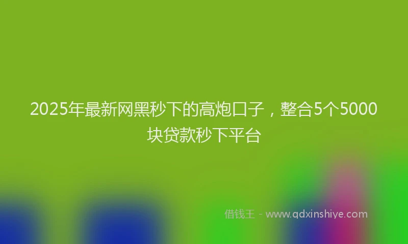2025年最新网黑秒下的高炮口子，整合5个5000块贷款秒下平台