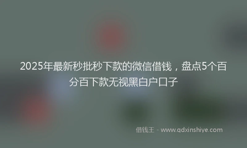 2025年最新秒批秒下款的微信借钱，盘点5个百分百下款无视黑白户口子