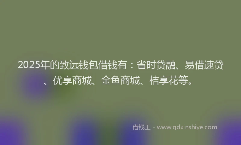 2025年的致远钱包借钱有：省时贷融、易借速贷、优享商城、金鱼商城、桔享花等。