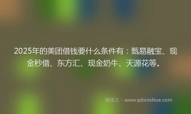 2025年的美团借钱要什么条件有：甄易融宝、现金秒借、东方汇、现金奶牛、天源花等。